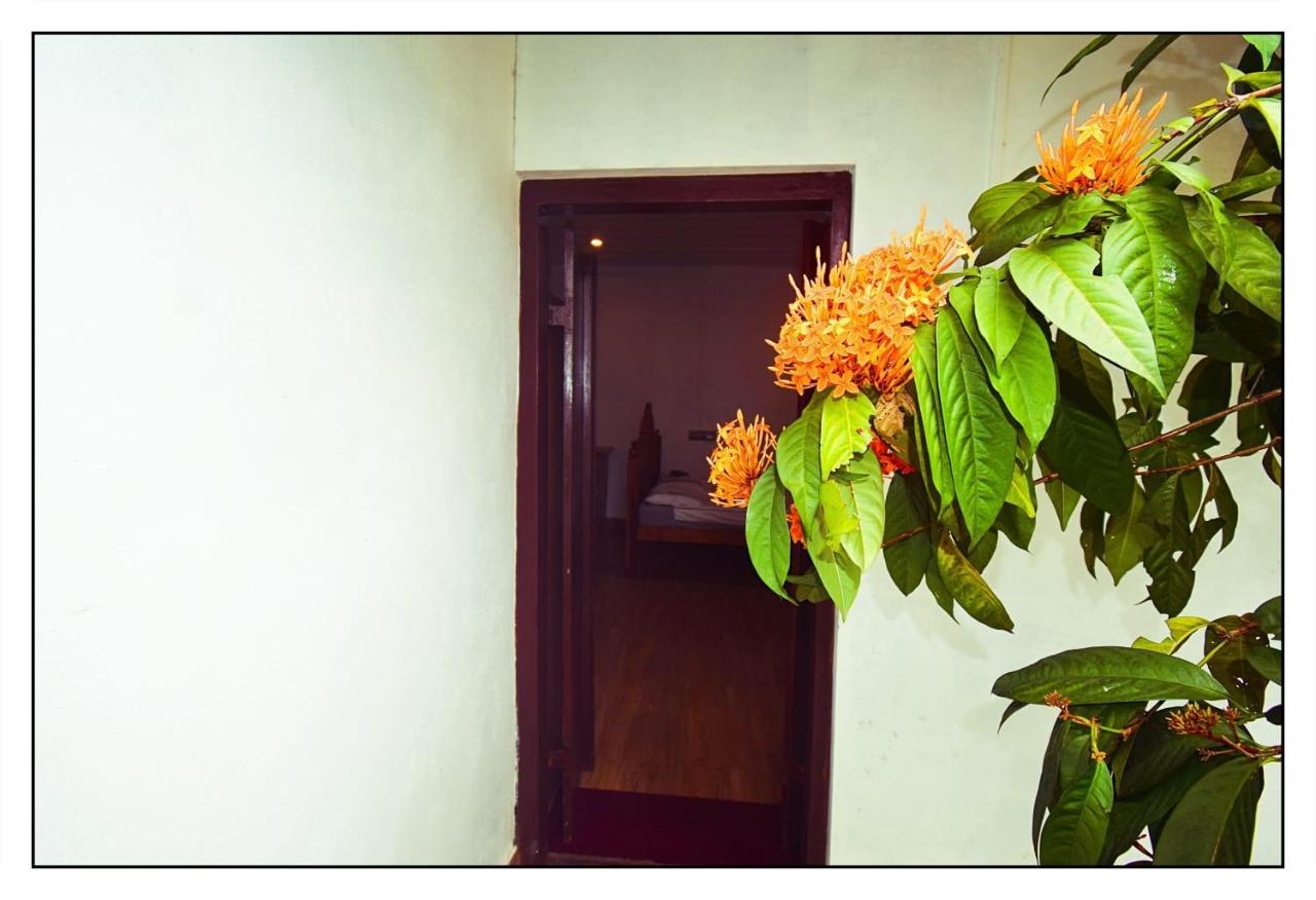 Munroe Inn Homestay Kollam Exteriér fotografie