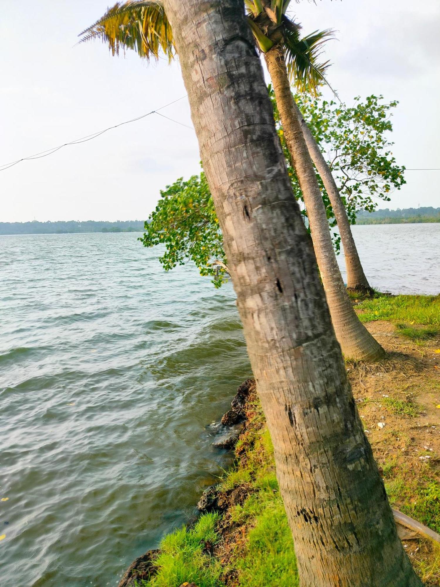 Munroe Inn Homestay Kollam Exteriér fotografie